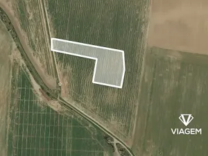 Prodej pole, Vinařice, 12775 m2