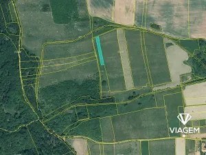 Prodej podílu pole, Řeřichy, 1347 m2