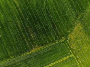 Prodej pole, Přísnotice, 5053 m2