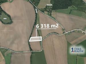 Prodej pole, Zelenecká Lhota, 8571 m2