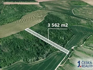 Prodej podílu pole, Nosislav, 890 m2