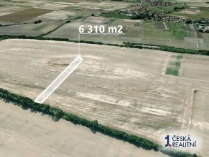 Prodej podílu pole, Všetaty, 3943 m2