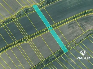 Prodej podílu pole, Mutěnice, 1584 m2