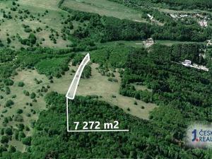 Prodej podílu pole, Kněždub, 3636 m2