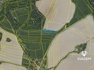 Prodej podílu pole, Čejkovice, 493 m2