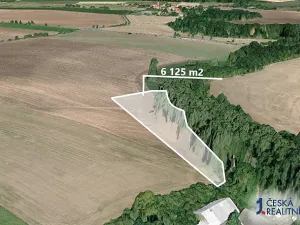 Prodej podílu pole, Kšely, 733 m2