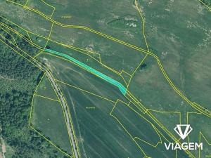 Prodej pole, Čížová, 1797 m2