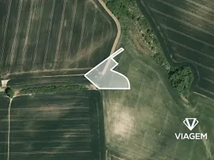 Prodej podílu pole, Litenčice, 1424 m2