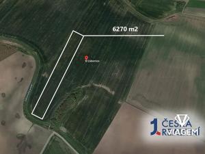 Prodej pole, Záhornice, 6270 m2