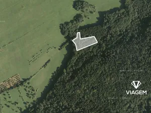 Prodej podílu lesa, Luhačovice, 1729 m2