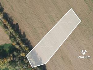 Prodej podílu pole, Škvorec, 1815 m2