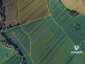 Prodej podílu pole, Boršice, 845 m2