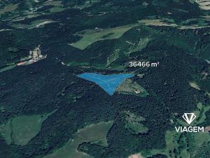 Prodej lesa, Všemina, 36466 m2