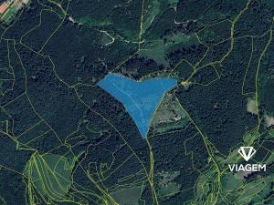 Prodej lesa, Všemina, 36466 m2