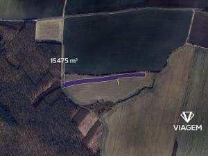 Prodej podílu pole, Nový Bydžov, 241 m2