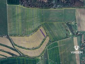 Prodej podílu pole, Ořechov, 353 m2