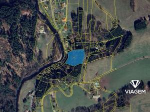 Prodej lesa, Klášterec nad Orlicí, 4564 m2