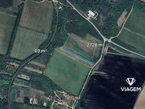 Prodej podílu pole, Olbramovice, 699 m2