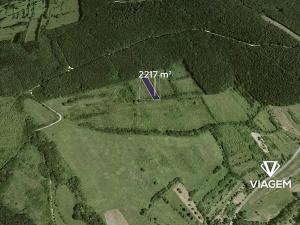 Prodej pole, Javorník, 2217 m2