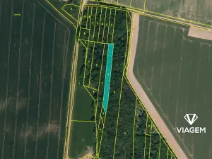 Prodej podílu lesa, Stěbořice, 1111 m2