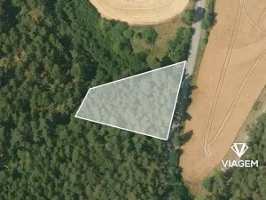 Prodej podílu lesa, Manětín, 1114 m2