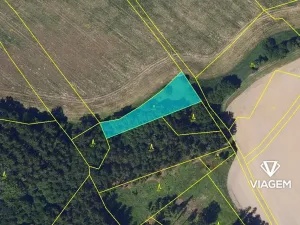 Prodej podílu pole, Borek, 782 m2