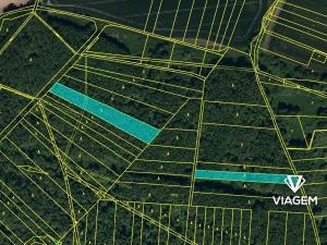 Prodej lesa, Kravaře, 7842 m2