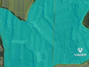 Prodej podílu lesa, Křenovice, 16746 m2