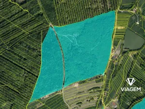 Prodej podílu lesa, Šanov, 2432 m2