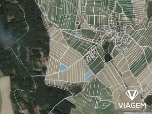 Prodej podílu pole, Tučapy, 3119 m2