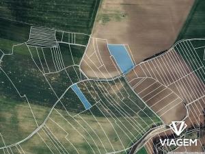 Prodej podílu pole, Zaječice, 482 m2
