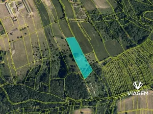 Prodej podílu pole, Nová Dědina, 1321 m2