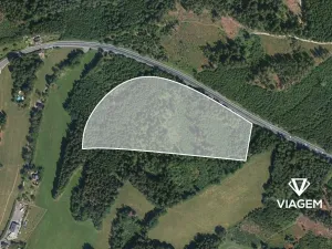 Prodej lesa, Loužnice, 41323 m2