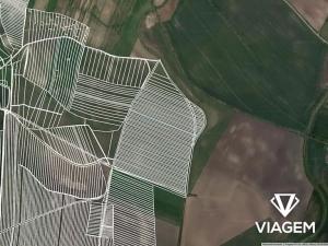 Prodej podílu pole, Brumovice, 1980 m2