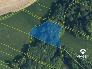 Prodej podílu lesa, Roprachtice, 684 m2
