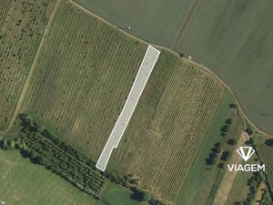 Prodej podílu sadu/vinice, Brumovice, 1723 m2