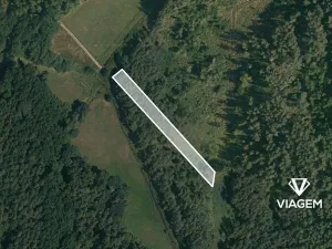 Prodej podílu lesa, Třeboň, 664 m2