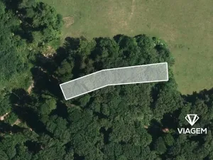 Prodej podílu lesa, Březová, 464 m2