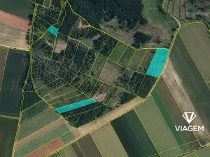 Prodej podílu lesa, Radkovice u Budče, 13191 m2