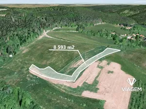 Prodej pole, Vlkančice, 8593 m2