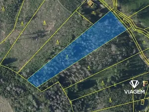 Prodej podílu lesa, Baliny, 3334 m2