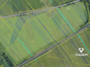 Prodej podílu pole, Rohatec, 1486 m2