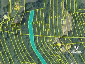 Prodej lesa, Březůvky, 1917 m2