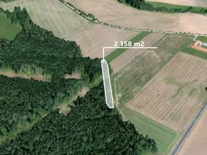 Prodej lesa, Dolní Třebonín, 2158 m2