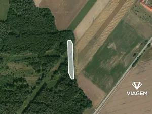 Prodej lesa, Dolní Třebonín, 2158 m2