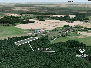 Prodej podílu lesa, Drahov, 2032 m2