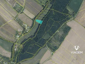 Prodej podílu pole, Bílovec, 1805 m2