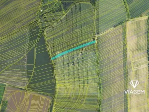 Prodej podílu pole, Boršice, 856 m2