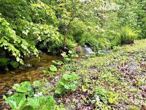 Prodej rodinného domu, Tanvald, Sladká Díra, 157 m2