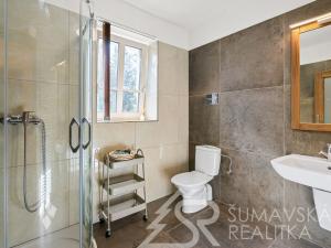 Prodej rodinného domu, Stachy, 255 m2